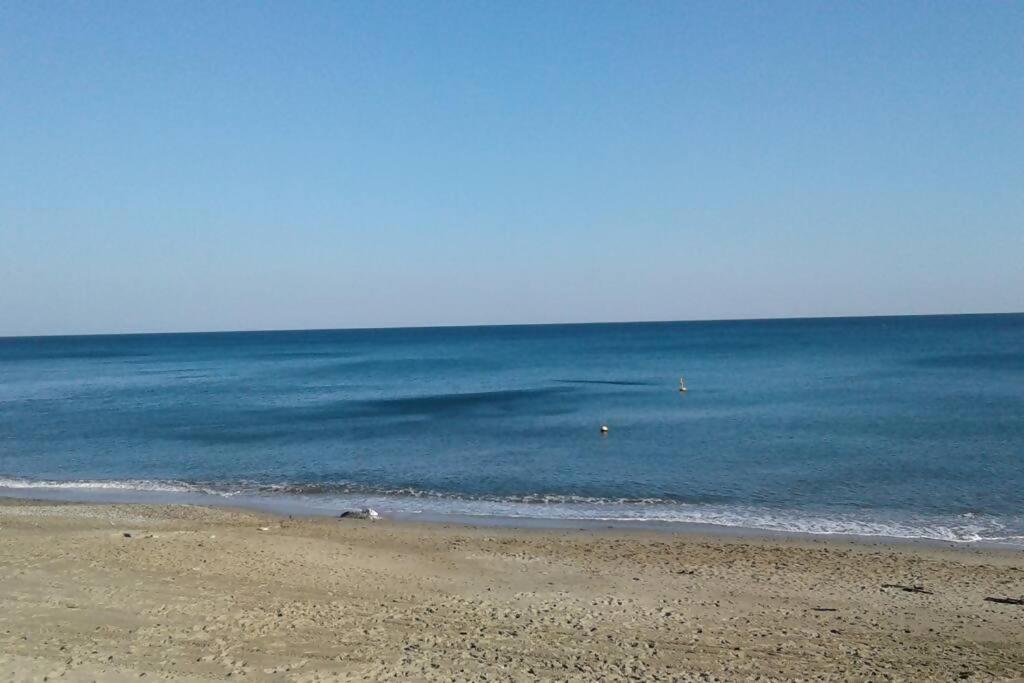 사보나 Larte Al Mare Vicino Spiaggia Con Ac E Wifi 아파트 외부 사진